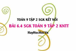 Bài 6.4 SGK Toán 9 tập 2 Kết nối tri thức
